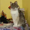 Отзыв от Ирина Артамонова